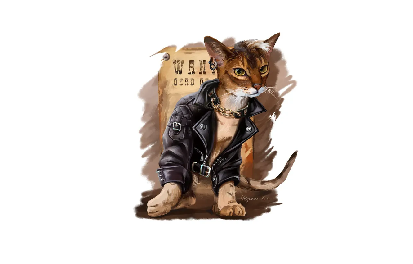 Photo wallpaper cat, style, jacket