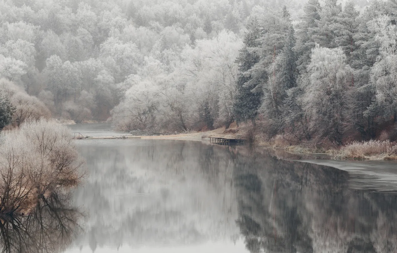 Photo wallpaper reflection, snow, winter, fog, nature, frost, shore, the bushes