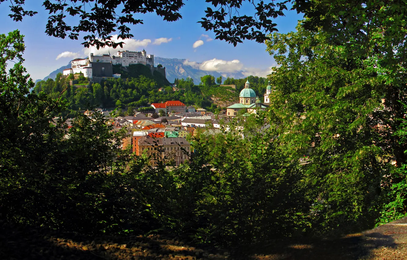 Photo wallpaper mountains, branches, the city, castle, home, Austria, the bushes, Salzburg