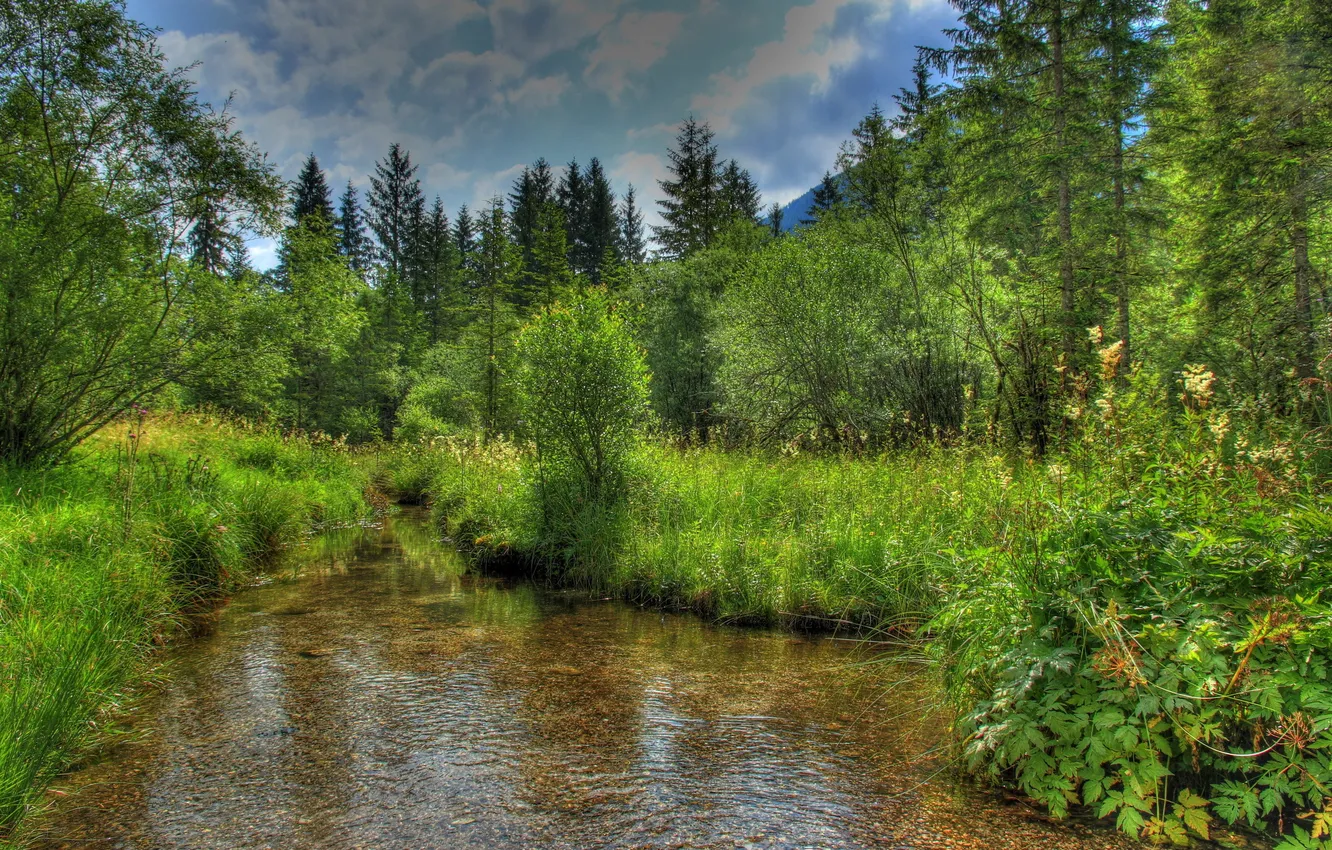 Photo wallpaper road, water, nature, photo, HDR, Germany, Bayern