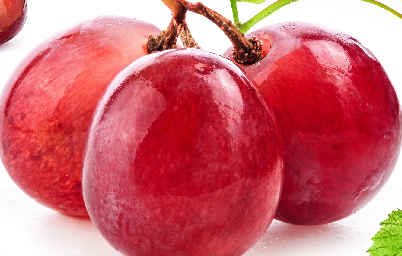 Photo wallpaper macro, red, berries, berry, grapes, red, macro, grapes