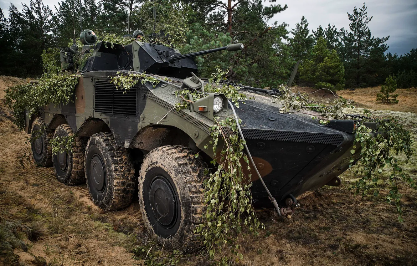 Photo wallpaper maneuver, polygon, armor