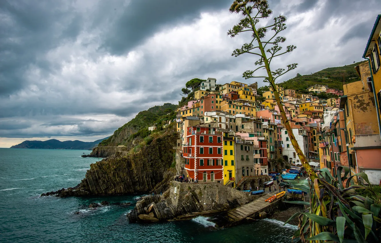 Photo wallpaper sea, the sky, clouds, branches, the city, shore, coast, plant