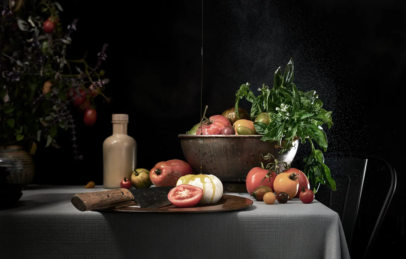 Photo wallpaper oil, still life, tomatoes, Basil, mozzarella