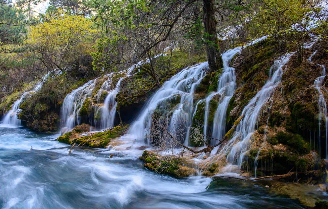 Photo wallpaper autumn, forest, water, trees, waterfall, stream