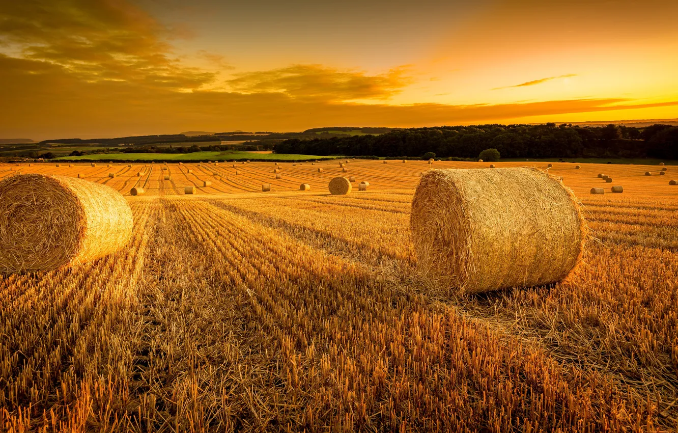 Photo wallpaper field, hay, bales, straw, stubble, Kip
