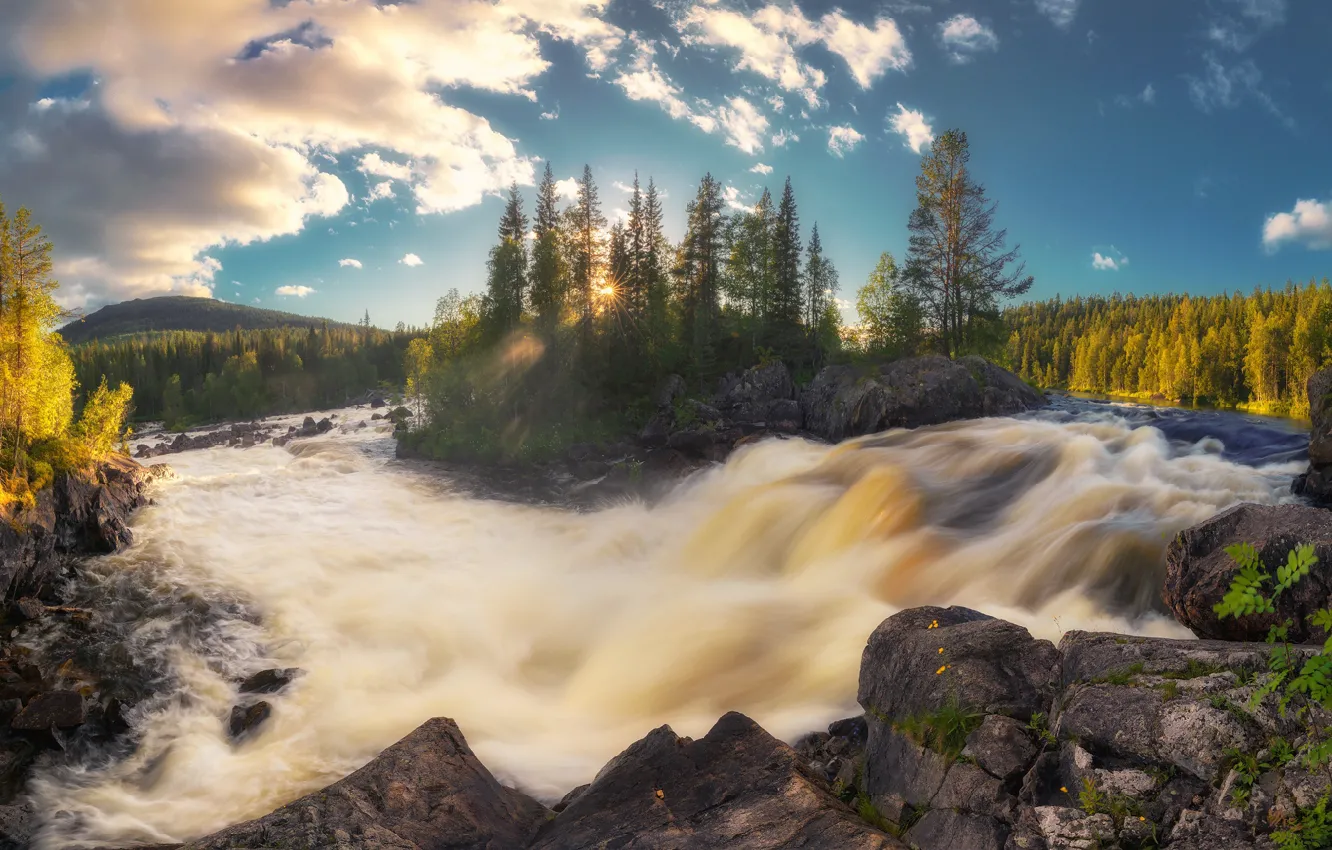 Photo wallpaper forest, trees, river, island, waterfall, Russia, the threshold, Karelia