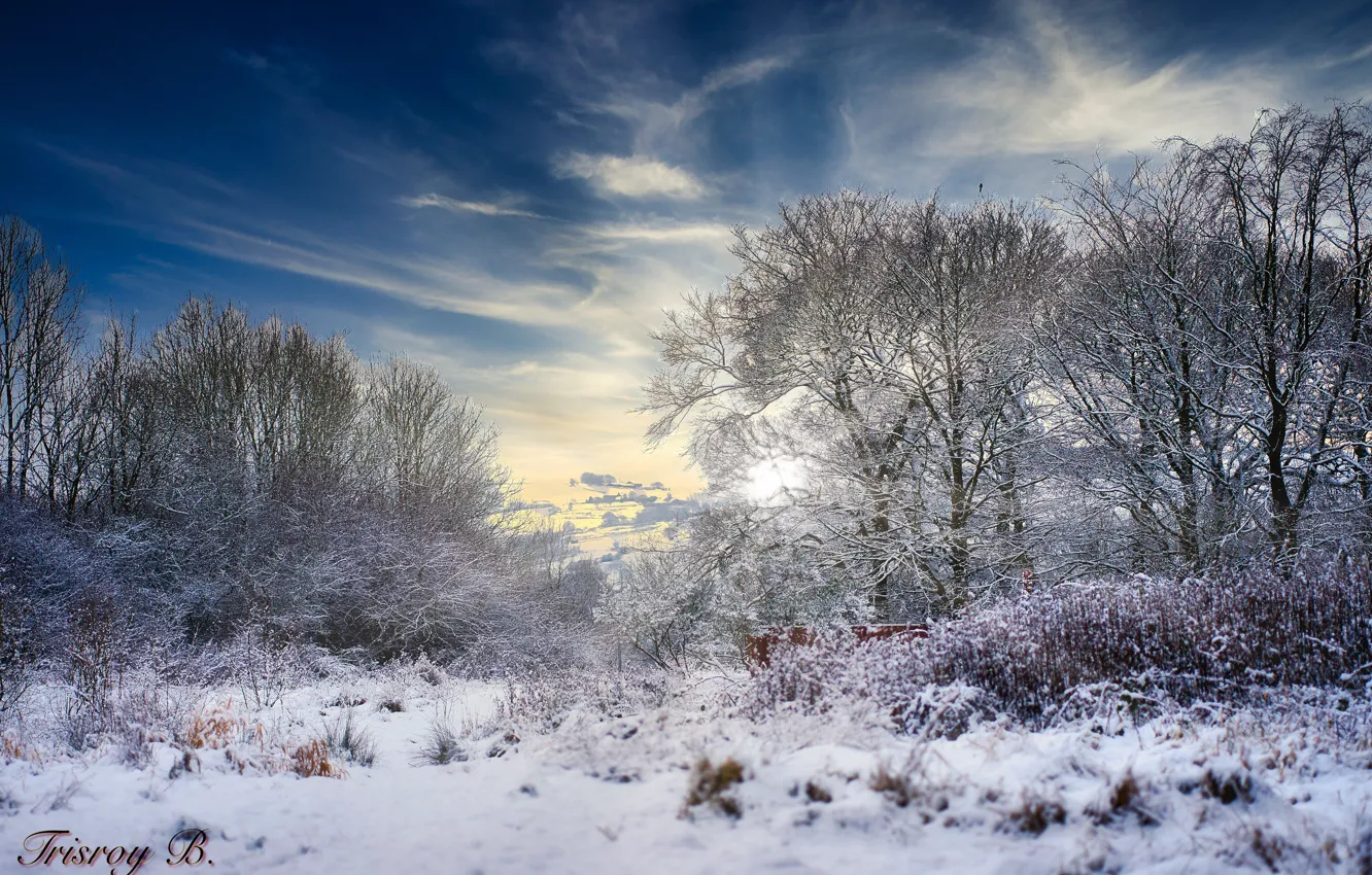 Photo wallpaper sky, trees, sony, sunset, snow, alpha, cold, lighting