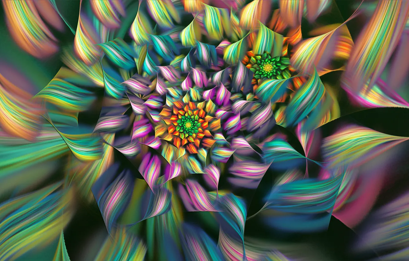 Photo wallpaper flower, line, colored, petals