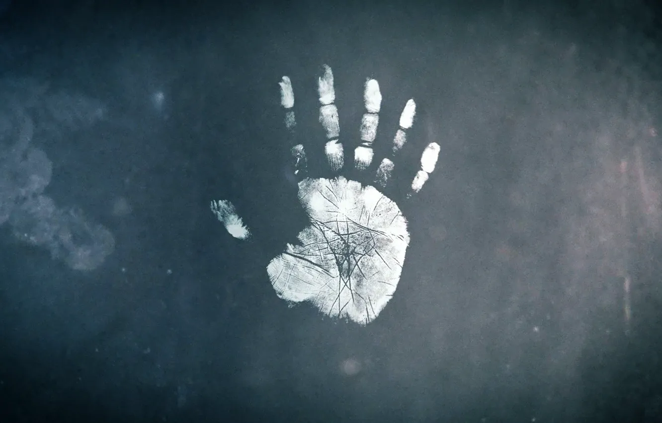 Photo wallpaper fringe, bilim, dizi