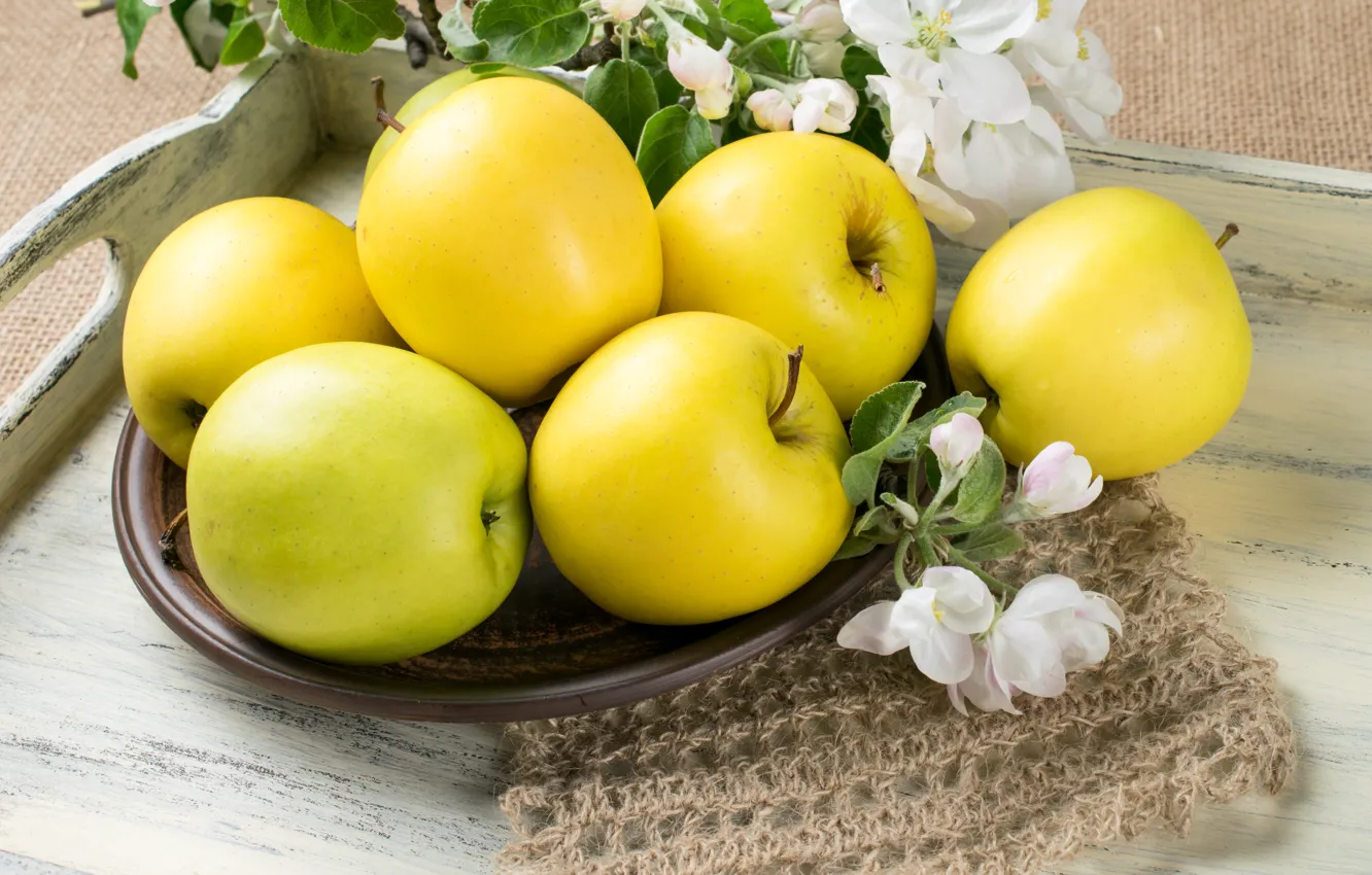 Photo wallpaper green, apples, fruit basket
