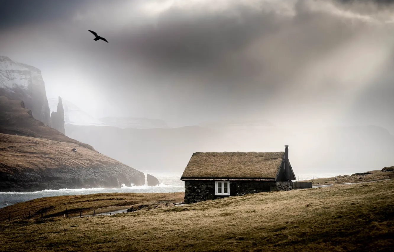 Photo wallpaper sea, fog, house, bird, shore, Iceland