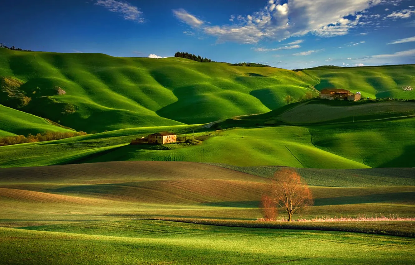 Photo wallpaper field, grass, hills, Italy, Campaign