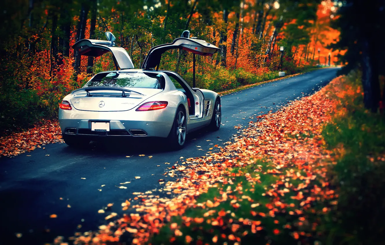 Photo wallpaper autumn, leaves, Mercedes-Benz, AMG, SLS, rear, silvery