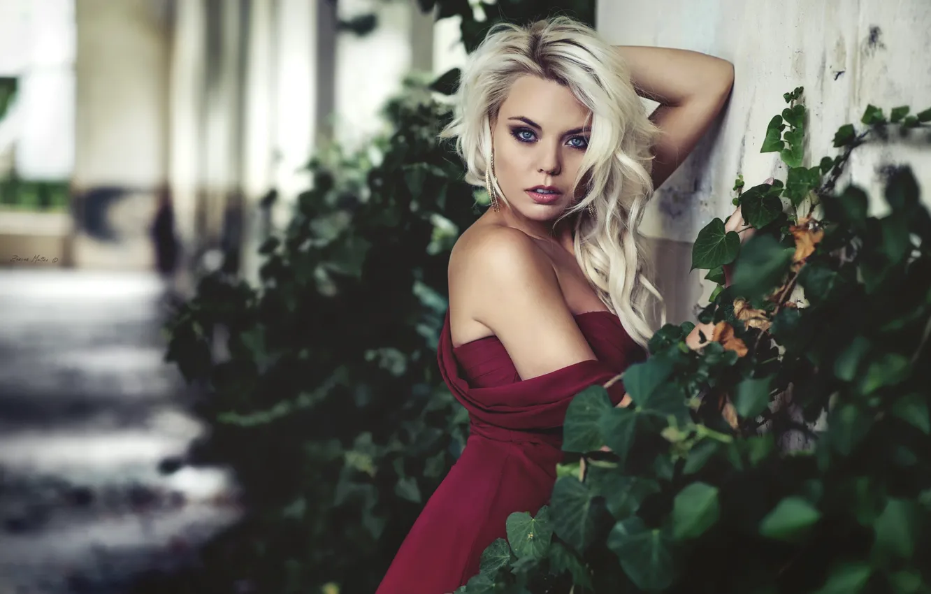 Photo wallpaper look, pose, model, portrait, makeup, dress, hairstyle, blonde