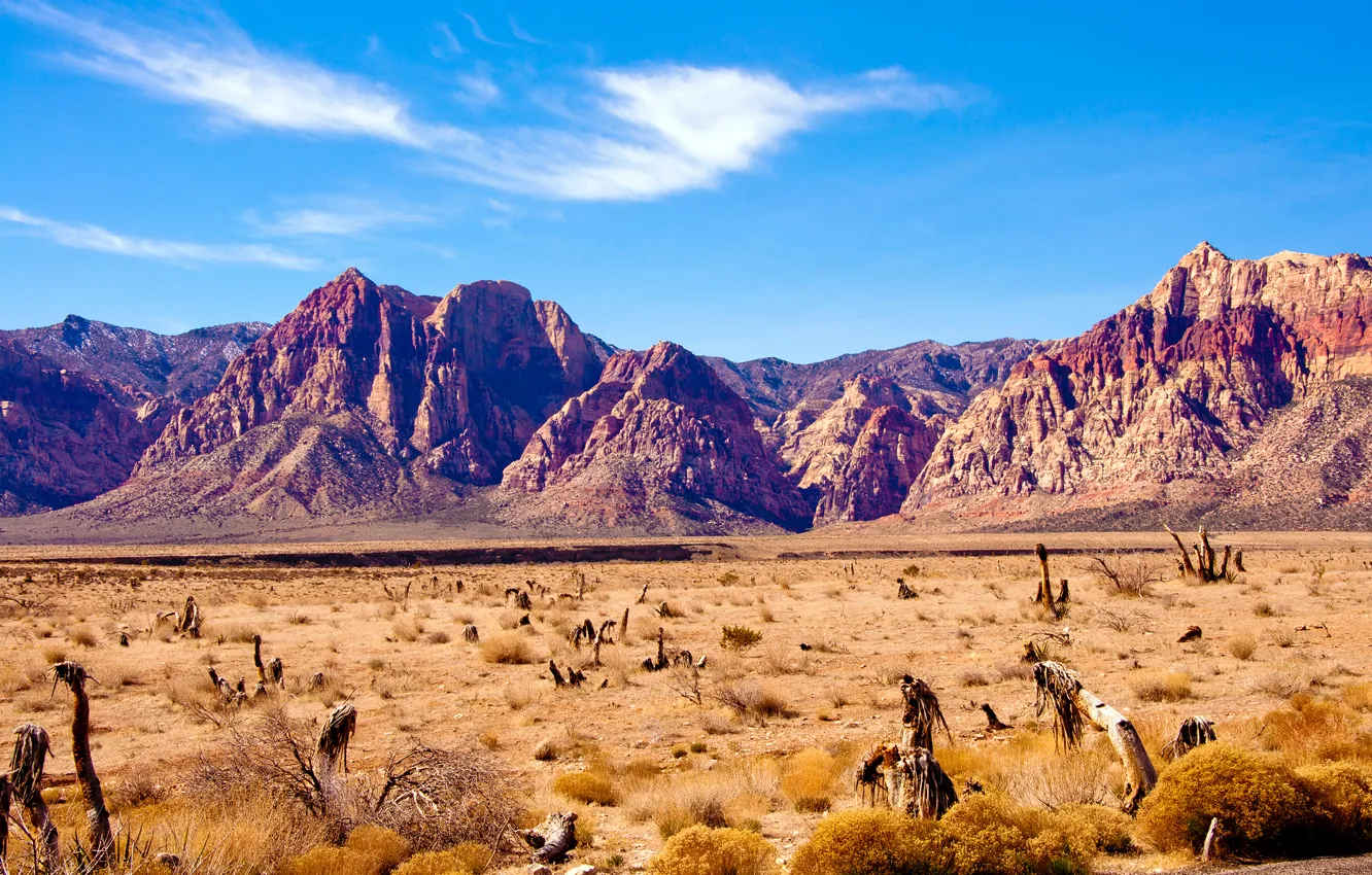 Photo wallpaper mountains, rocks, desert, Nevada, Nevada, red rock canyon