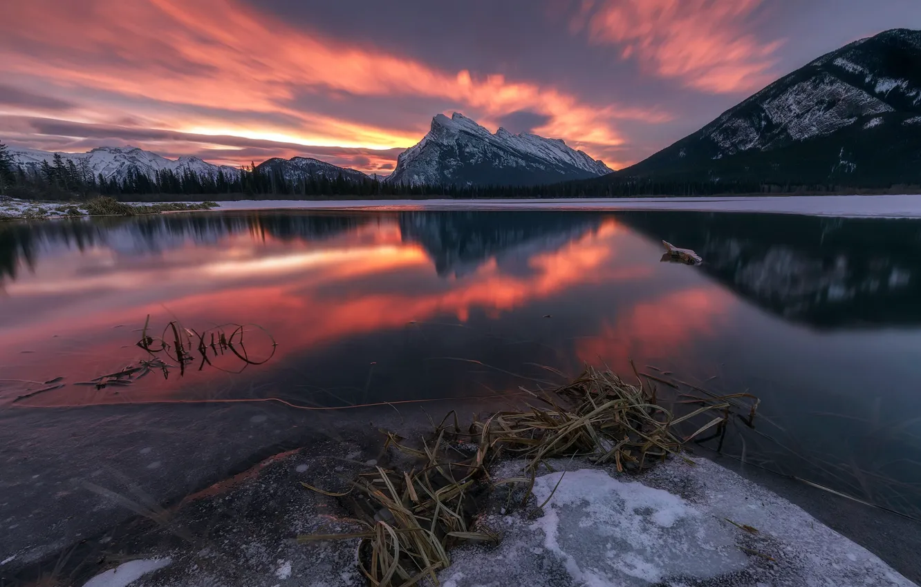 Photo wallpaper mountains, night, lake
