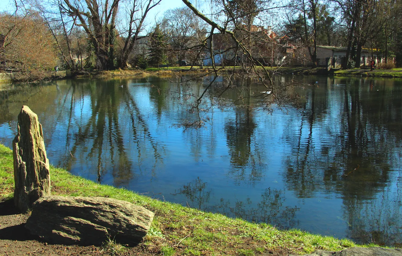 Photo wallpaper park, lake, pond