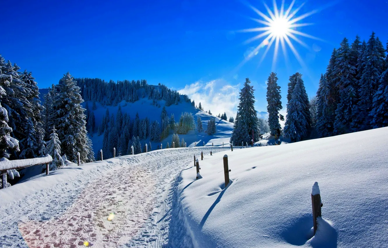 Photo wallpaper winter, forest, the sky, the sun, snow, landscape, mountains, nature