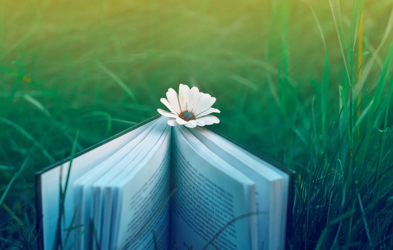 Photo wallpaper flower, grass, nature, mood, book