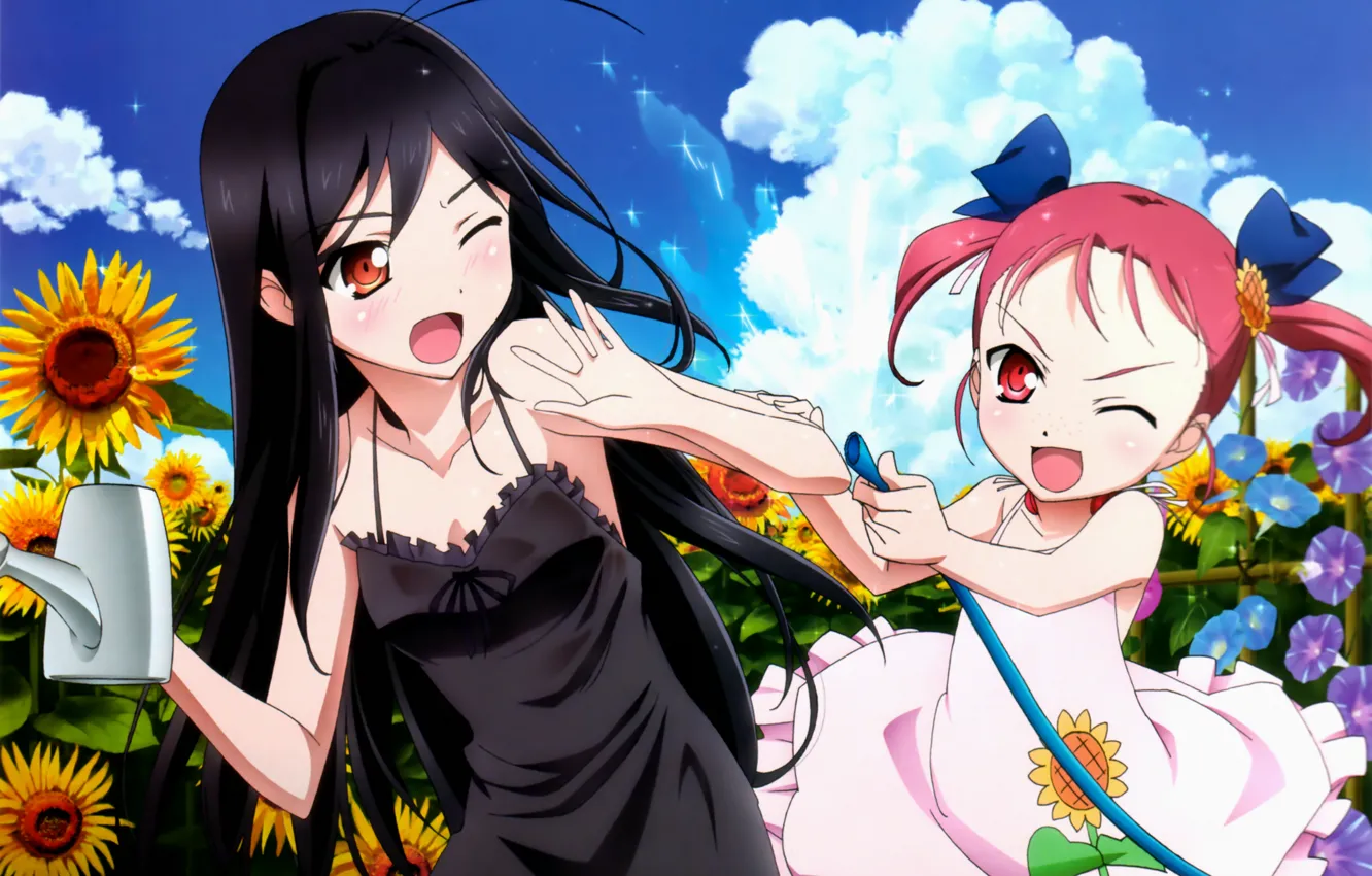 Photo wallpaper summer, sunflowers, girls, lake, hose, accel world, my kuroyukih, kouzuki yuniko