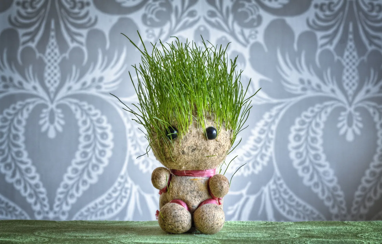 Photo wallpaper grass, doll, Grass Head