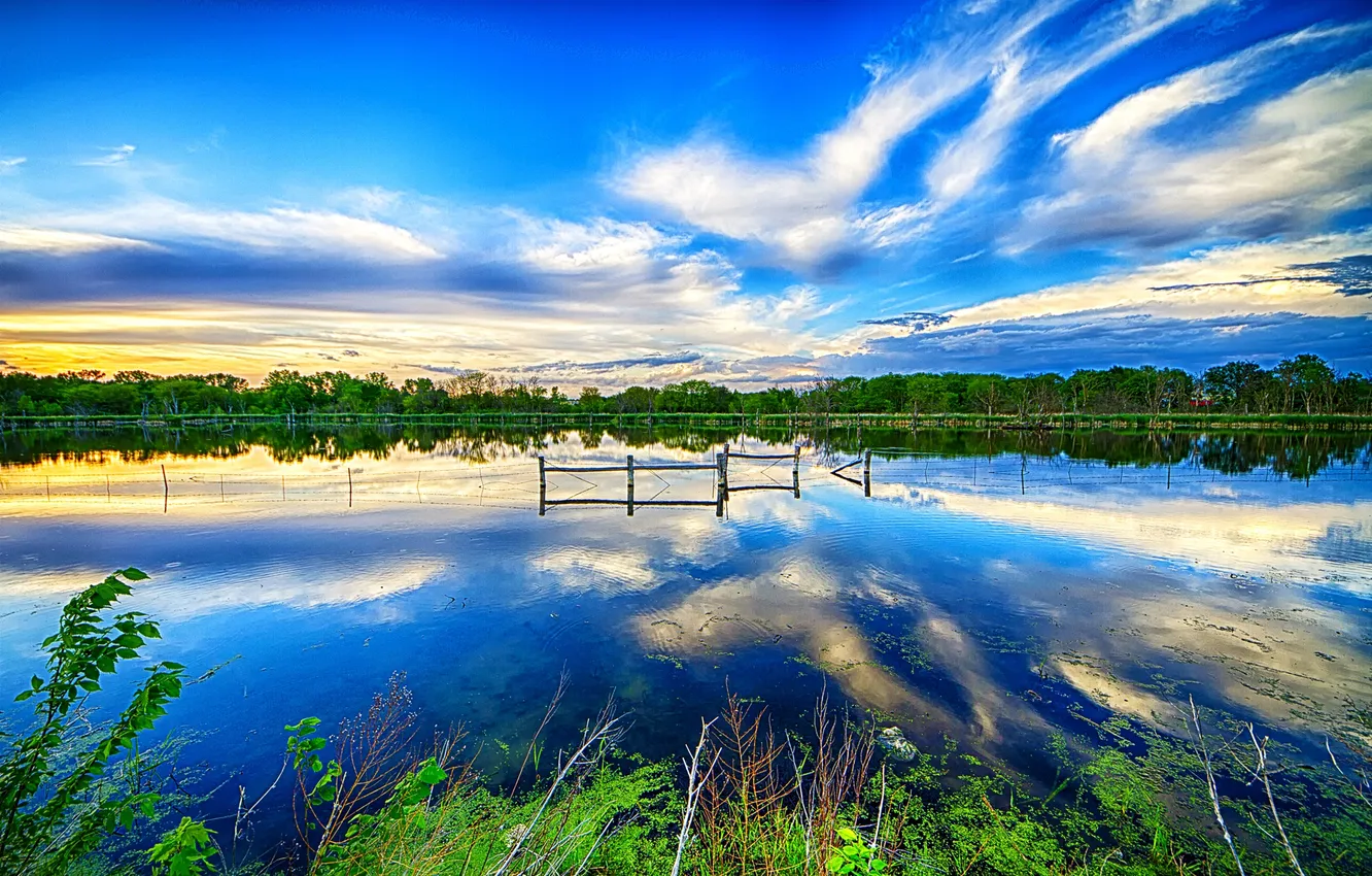 Photo wallpaper greens, the sky, clouds, trees, lake, shore, treatment