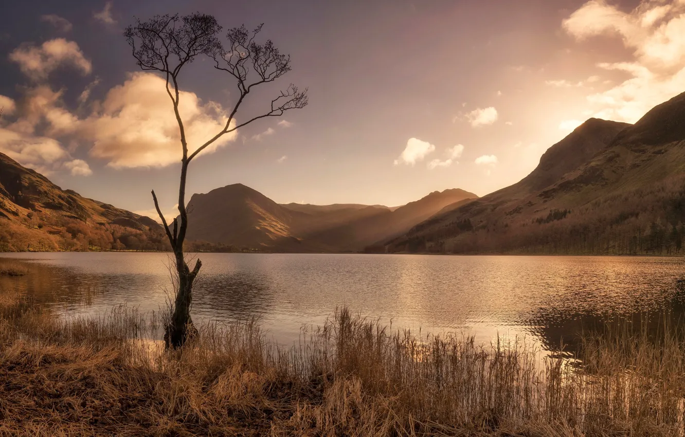 Photo wallpaper England, Batterer, mountains, Cumbria, lake, trees