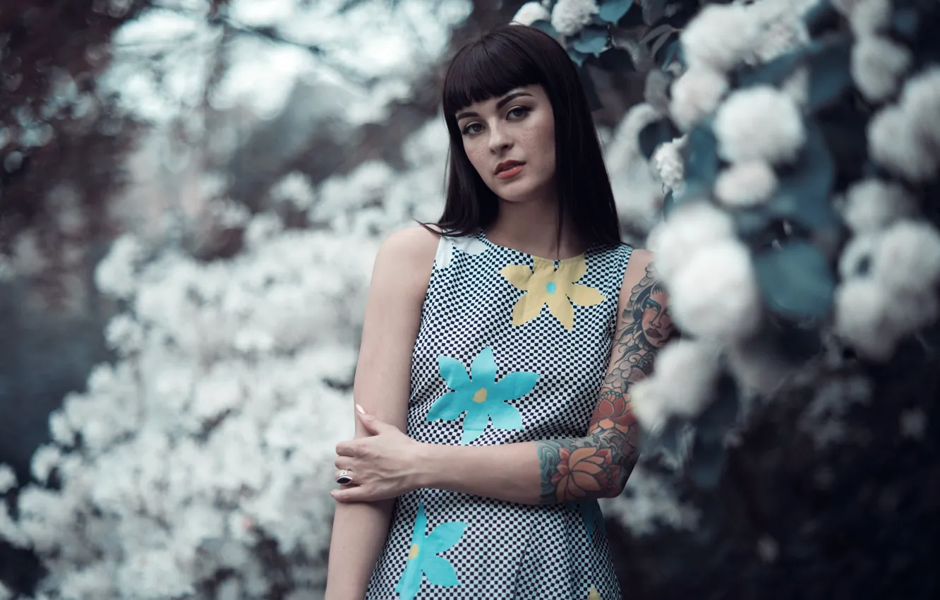 Photo wallpaper dress, brunette, tattoo, tattoo, bangs