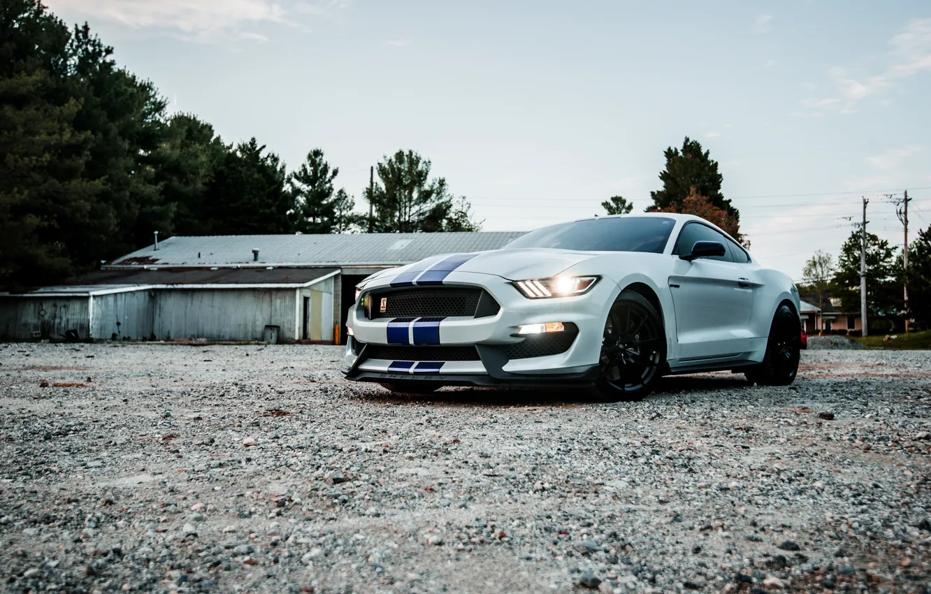 Photo wallpaper Mustang, Ford, Sunset, White, Evening, Shalby