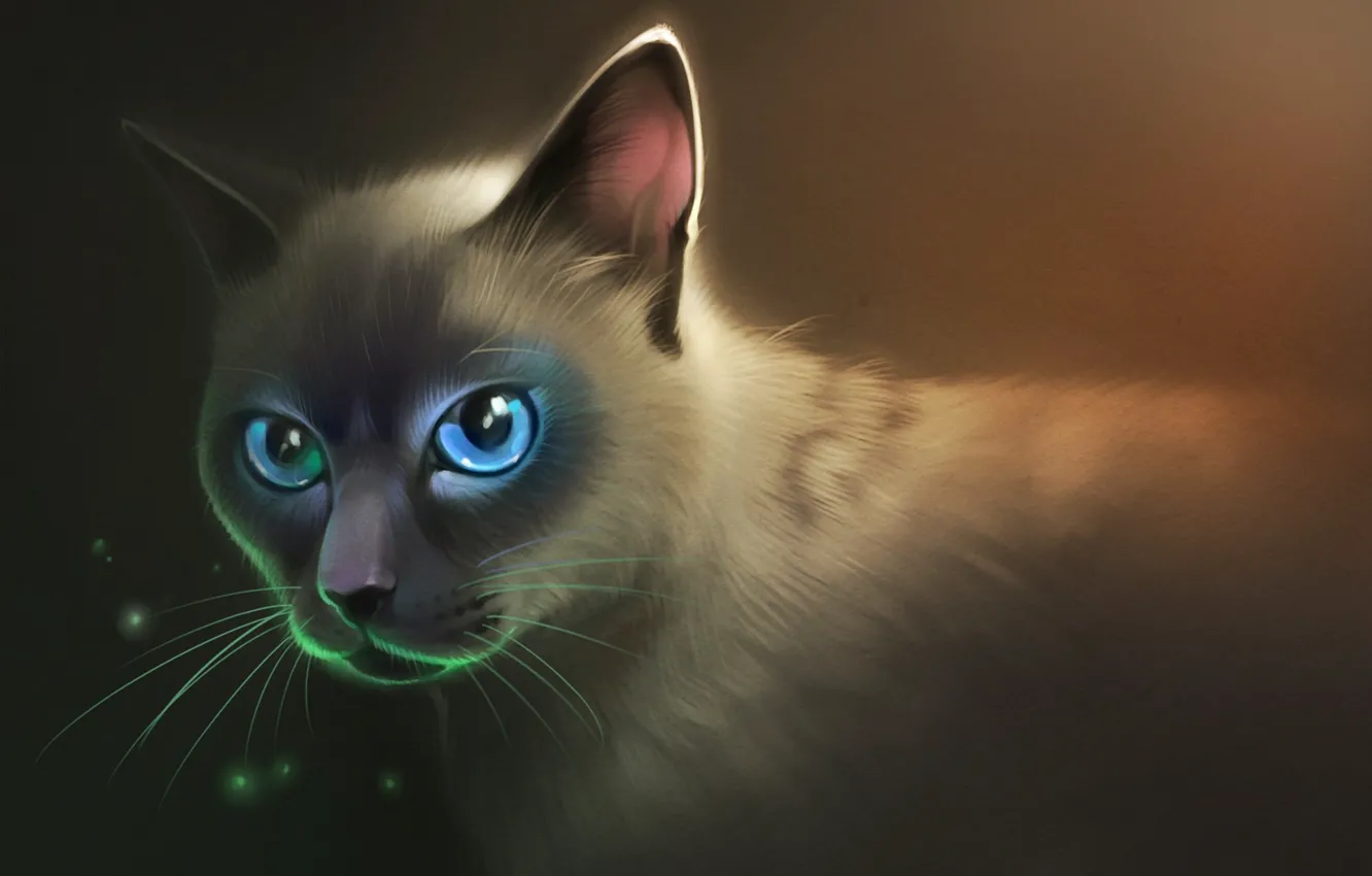 Photo wallpaper cat, look, fluffy, art, blue eyes
