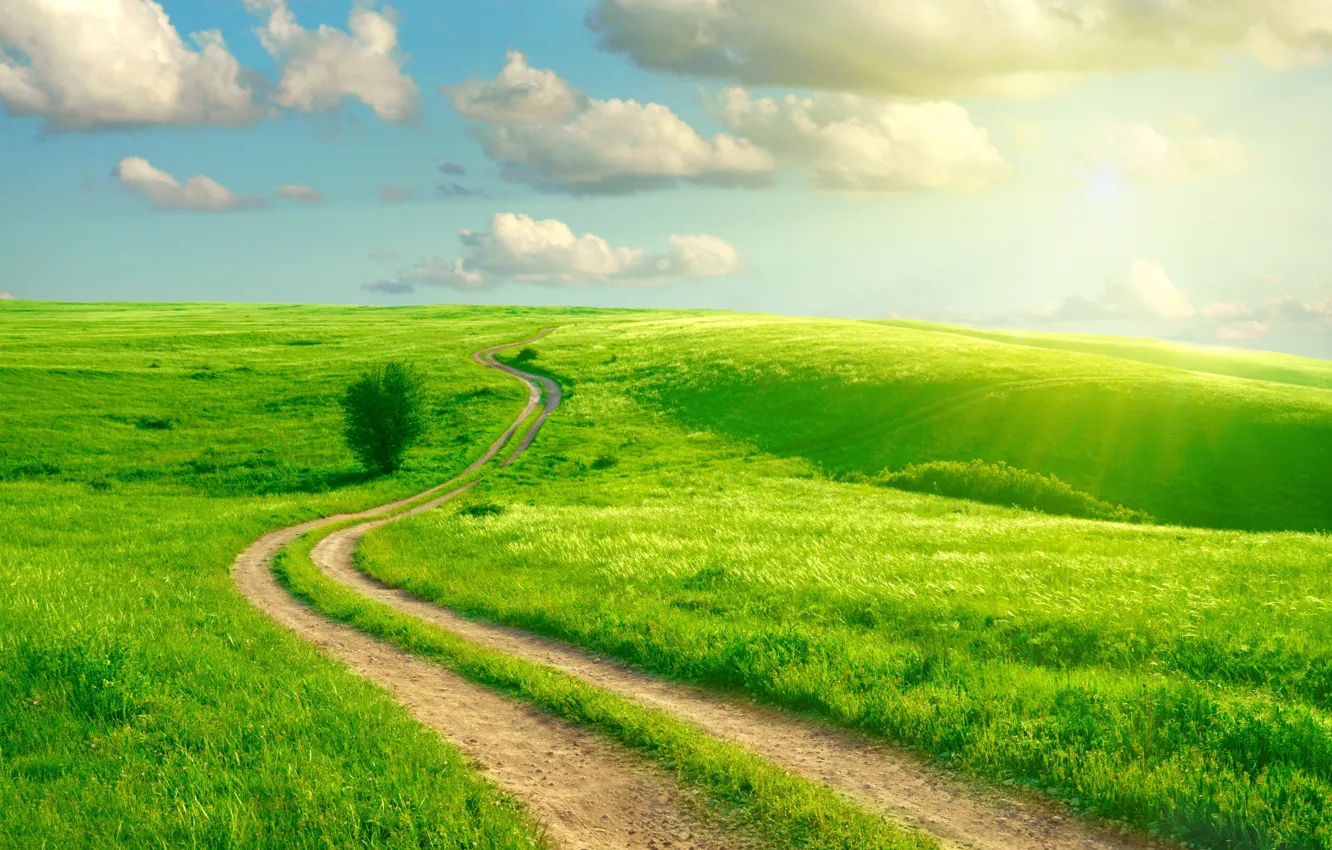 Photo wallpaper road, greens, field, the sky, grass, clouds, track, the rays of the sun