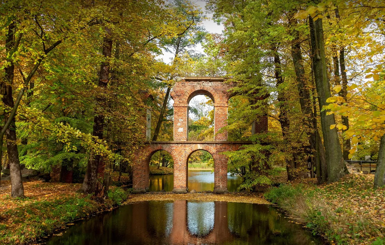 Photo wallpaper trees, reflection, river, Poland, Poland, Roman-style aqueduct, Arcadia Park, Roman inspired aqueduct