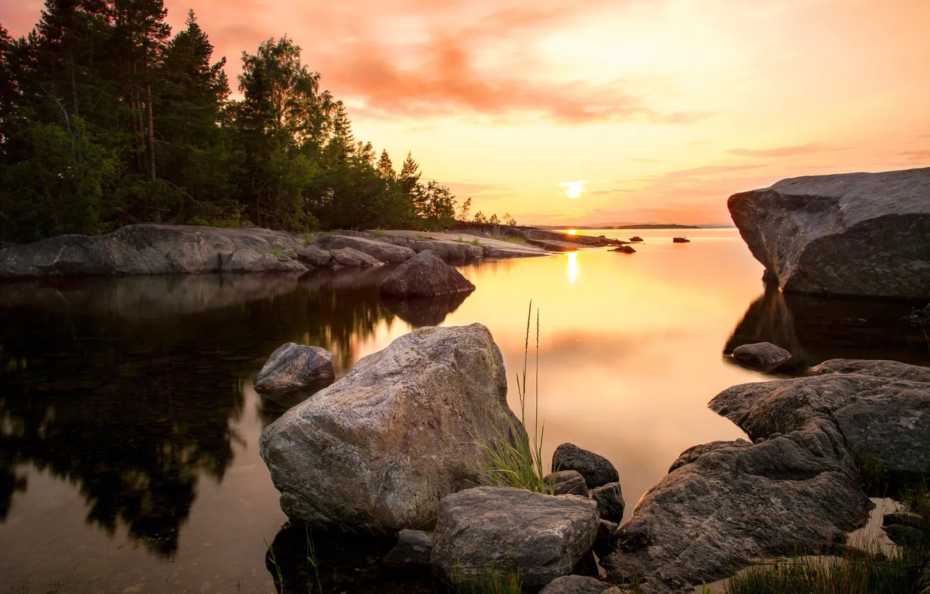 Photo wallpaper sea, forest, the sun, landscape, sunset, nature, stones, shore