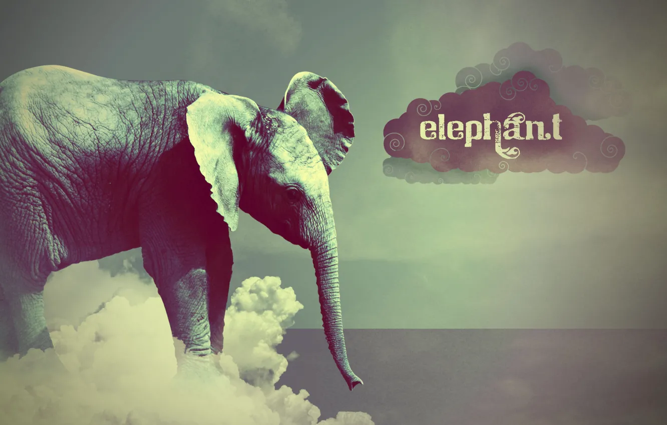 Photo wallpaper style, elephant, cloud, Elephant