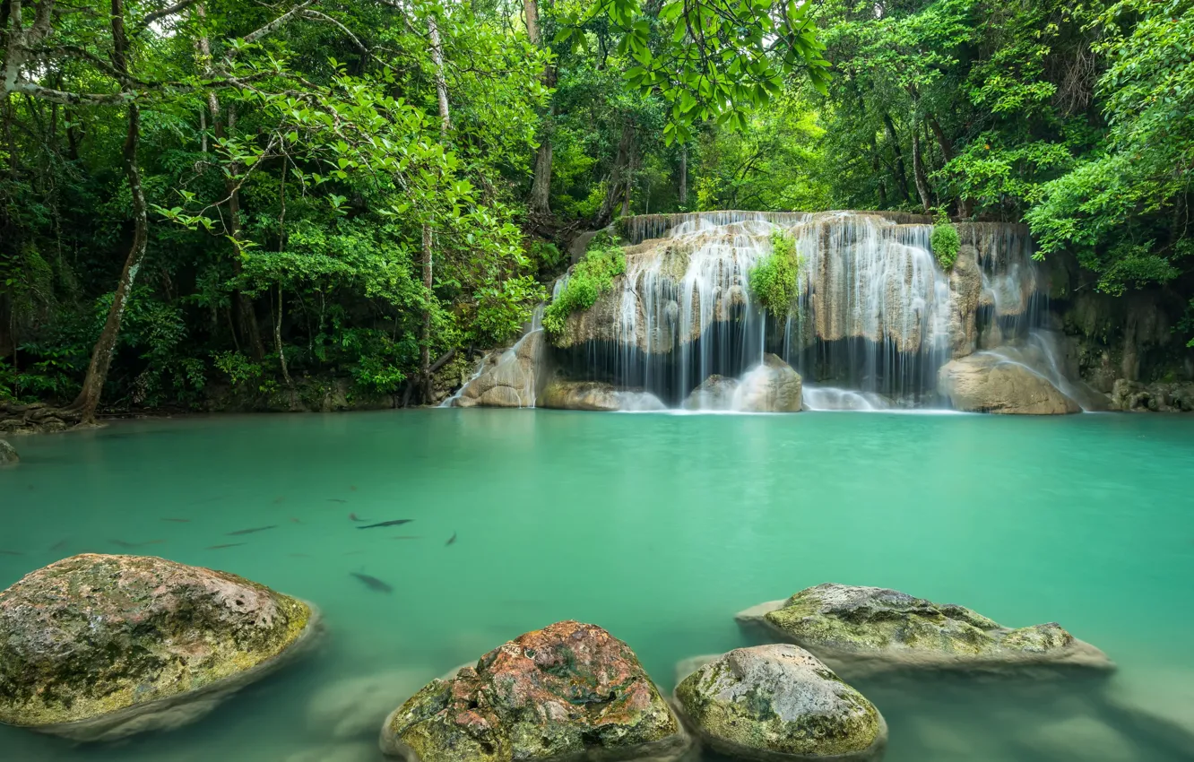Photo wallpaper greens, forest, trees, waterfall, fish, Thailand, boulders, emerald water