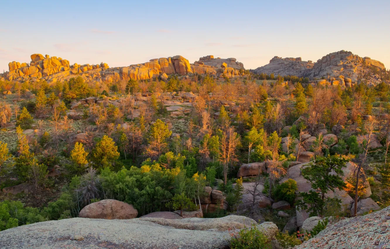 Photo wallpaper forest, trees, mountains, stones, the evening