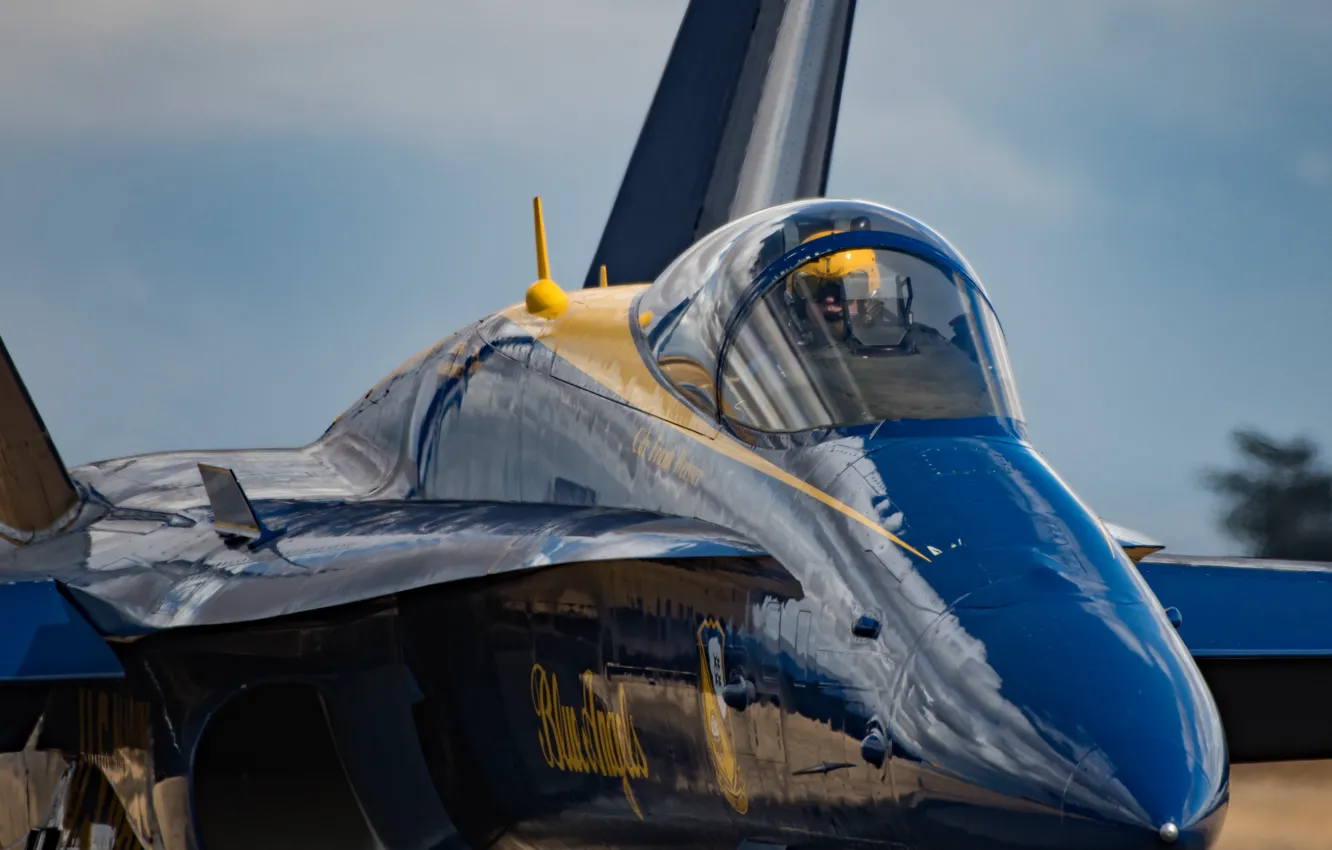 Photo wallpaper Blue Angel, F/A-18, The Blue Angels, aviation group