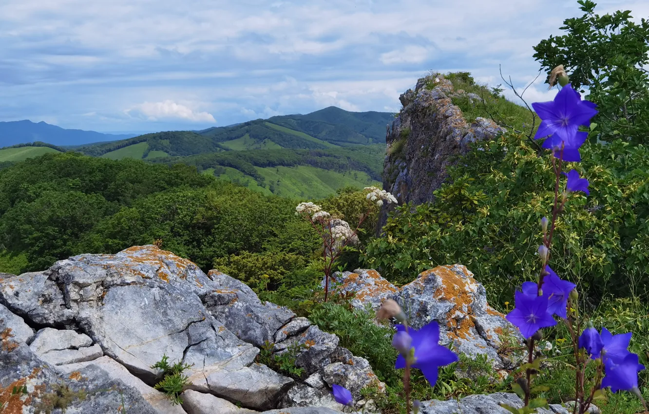 Photo wallpaper eagle, rock, hills