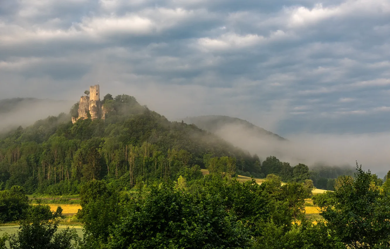 Photo wallpaper forest, mountains, castle, ruins