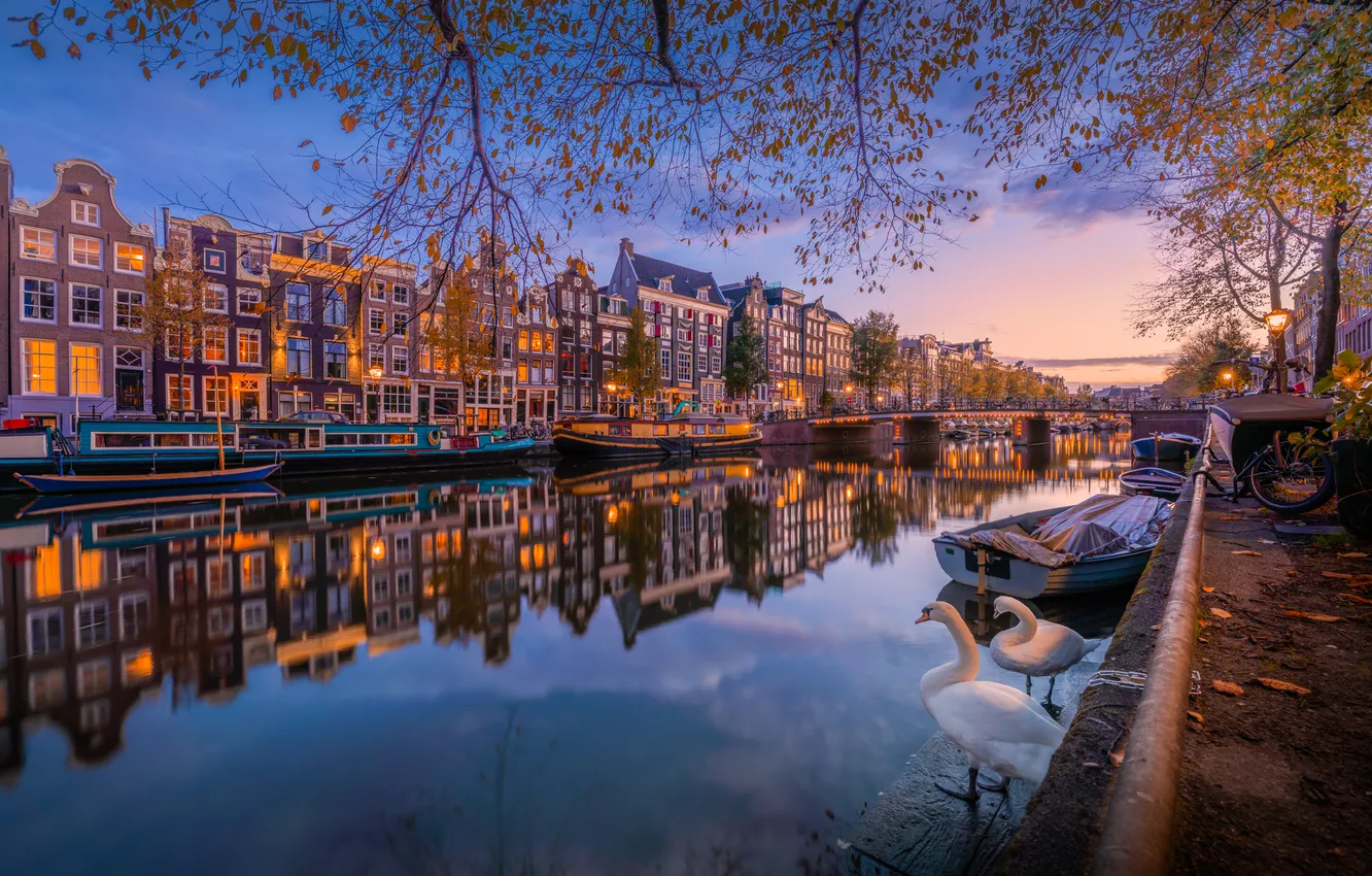 Photo wallpaper autumn, reflection, bird, building, home, Amsterdam, channel, Netherlands