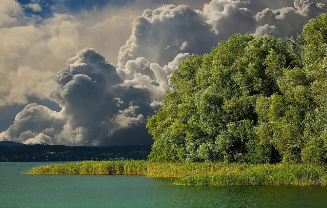 Photo wallpaper the storm, the sky, clouds, trees, river