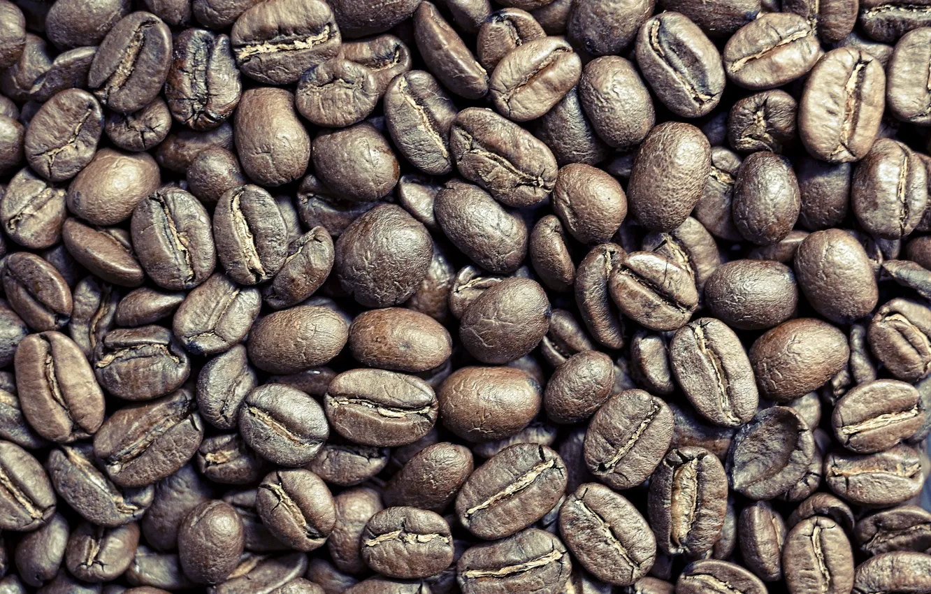 Photo wallpaper macro, beans, coffee, close up