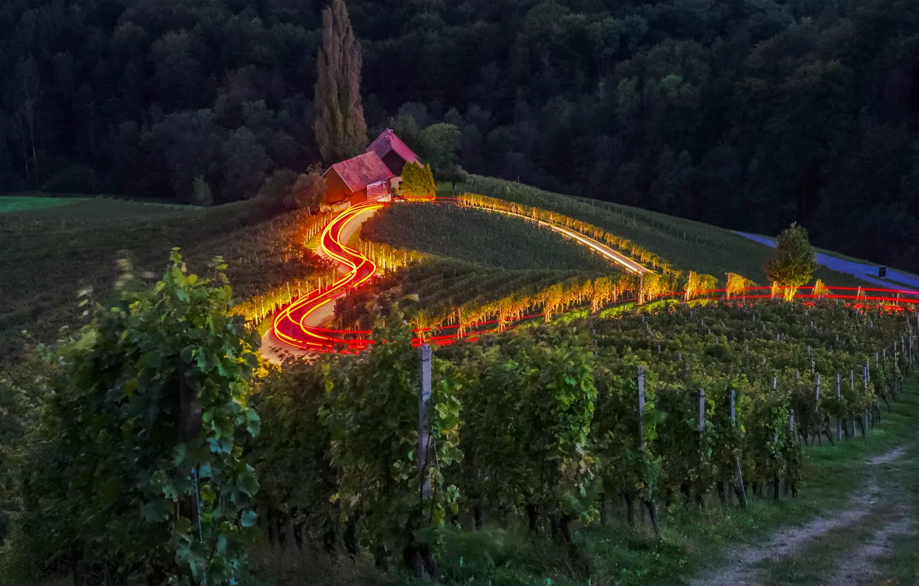 Photo wallpaper road, landscape, nature, heart, home, the evening, lighting, Slovenia