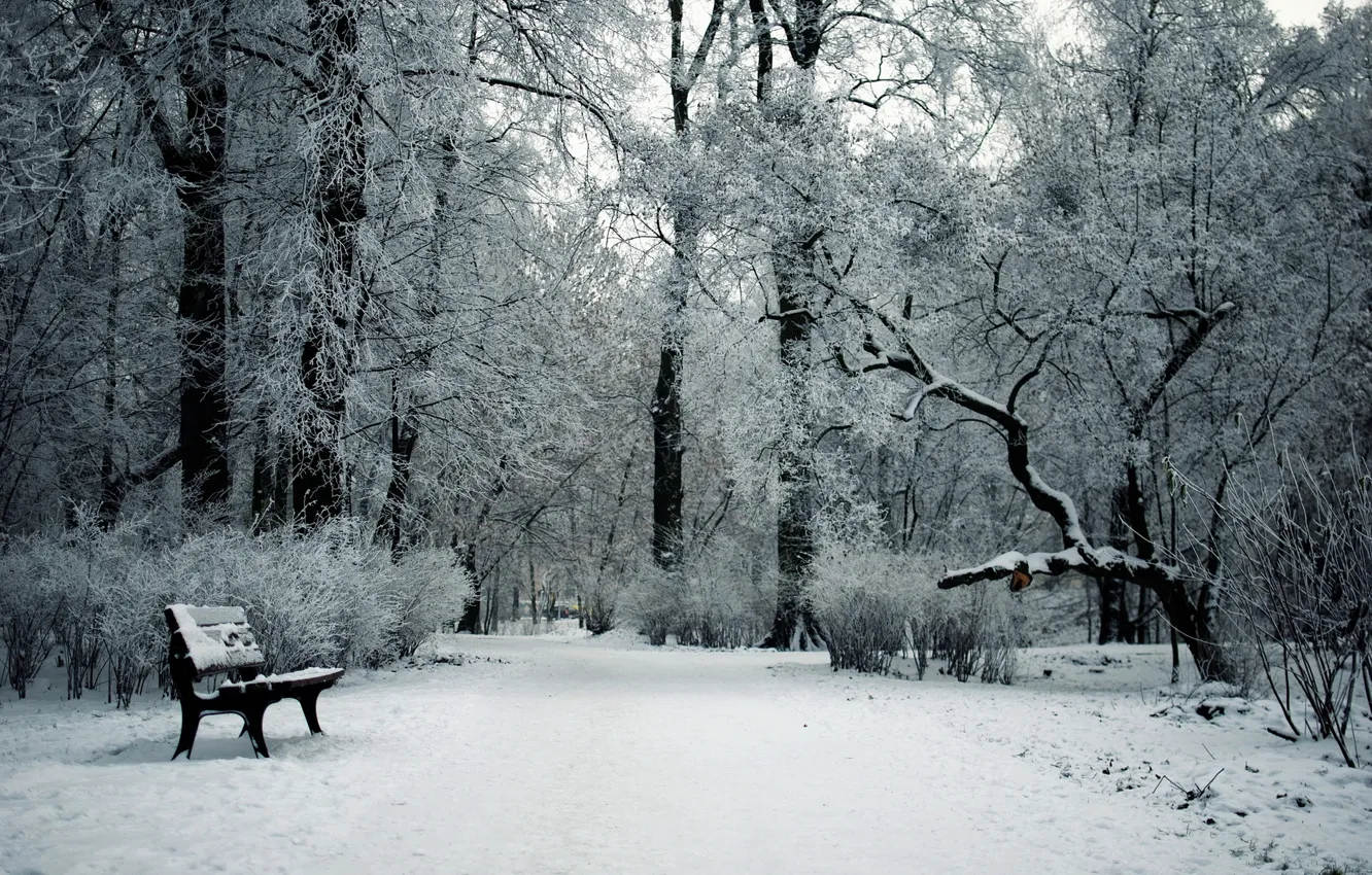 Photo wallpaper winter, snow, Park, bench