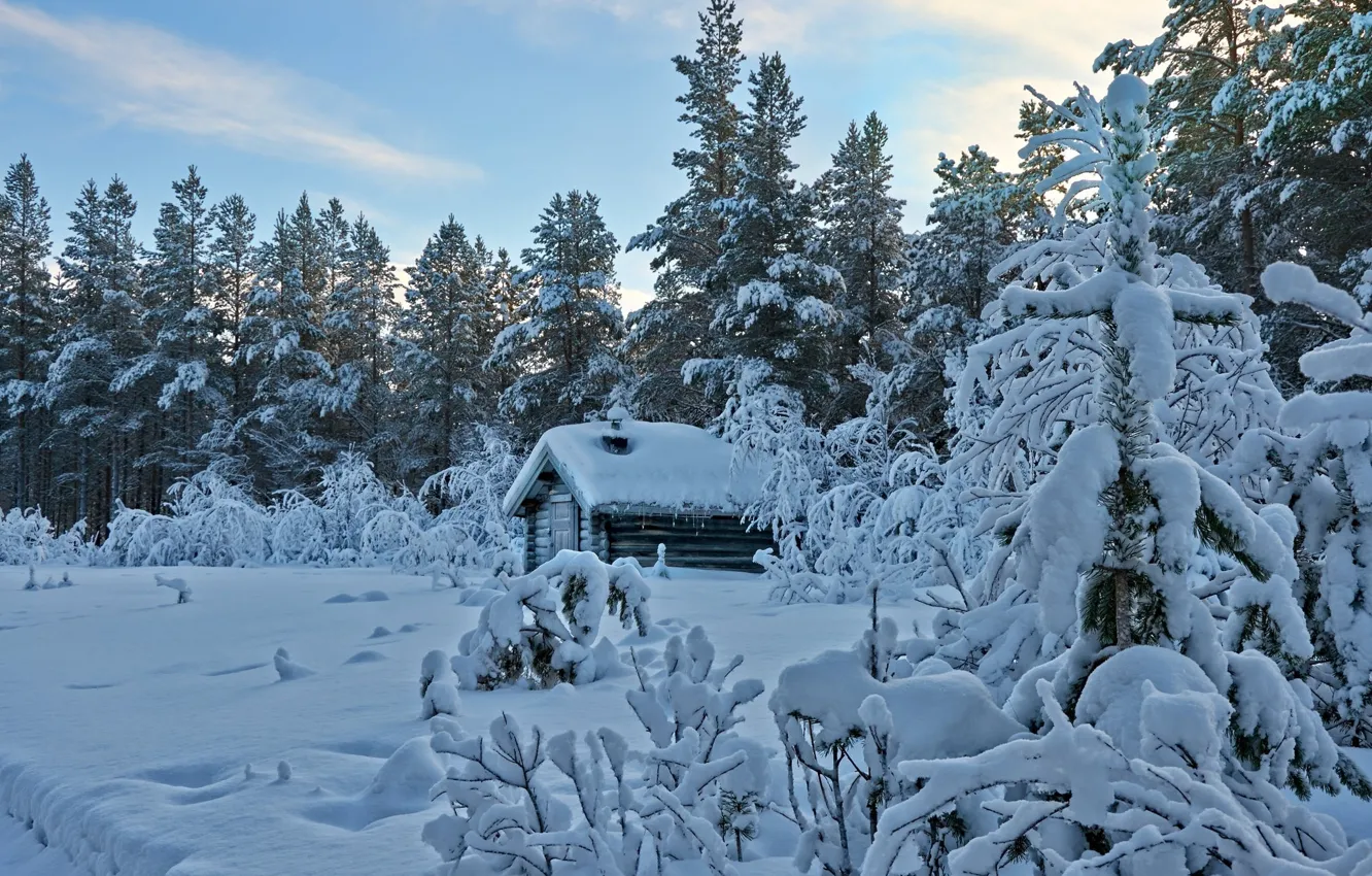 Photo wallpaper home, snow, winter
