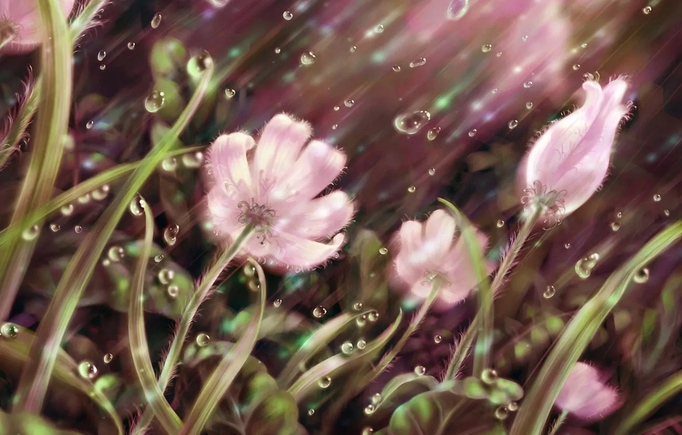 Photo wallpaper grass, drops, line, flowers, rain, petals