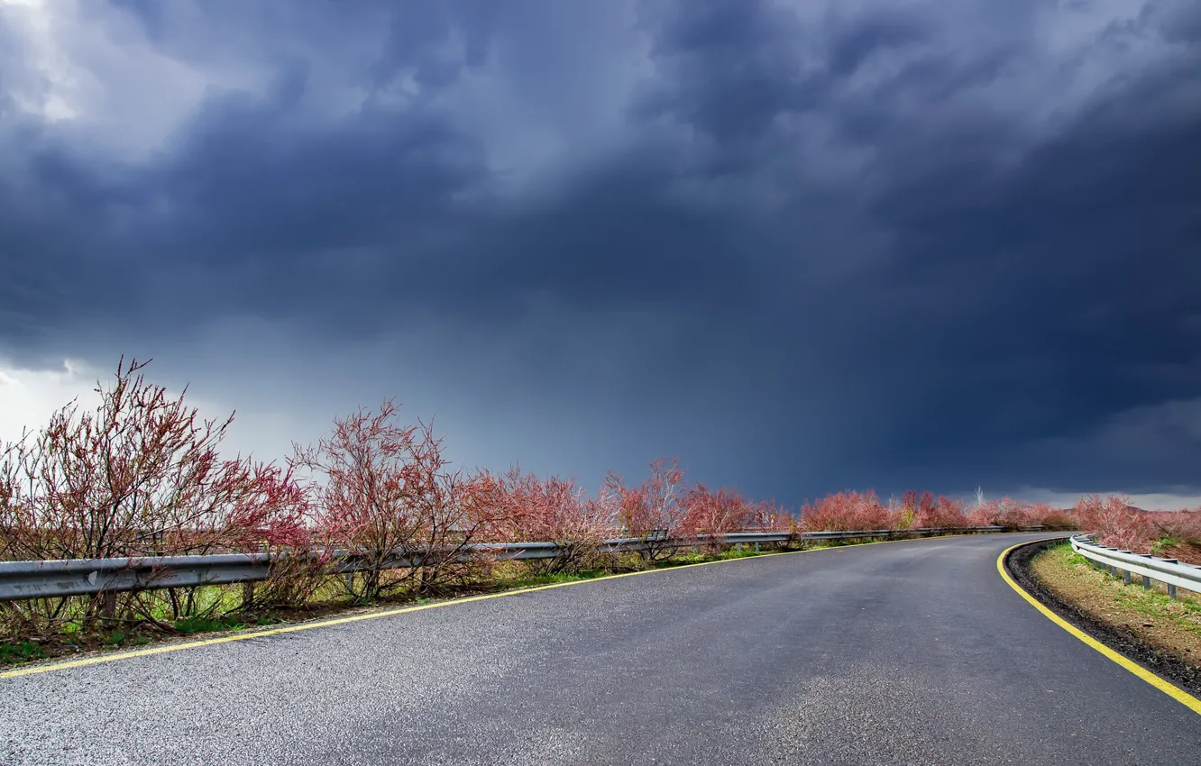 Photo wallpaper road, the sky, nature