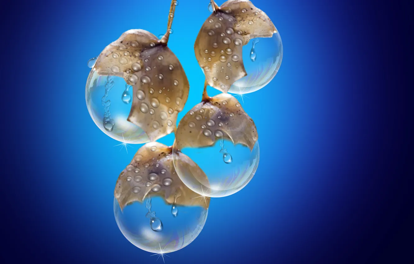 Photo wallpaper drops, fruits, Cristal, Rain drops