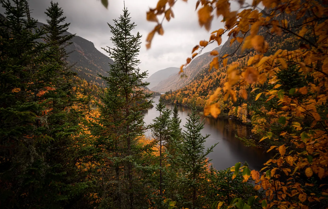 Photo wallpaper autumn, trees, mountains, branches, river, ate, Canada, Canada